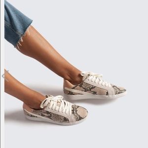 Dolce Vita Nino Sneaker in Snakeskin Size 8 1/2